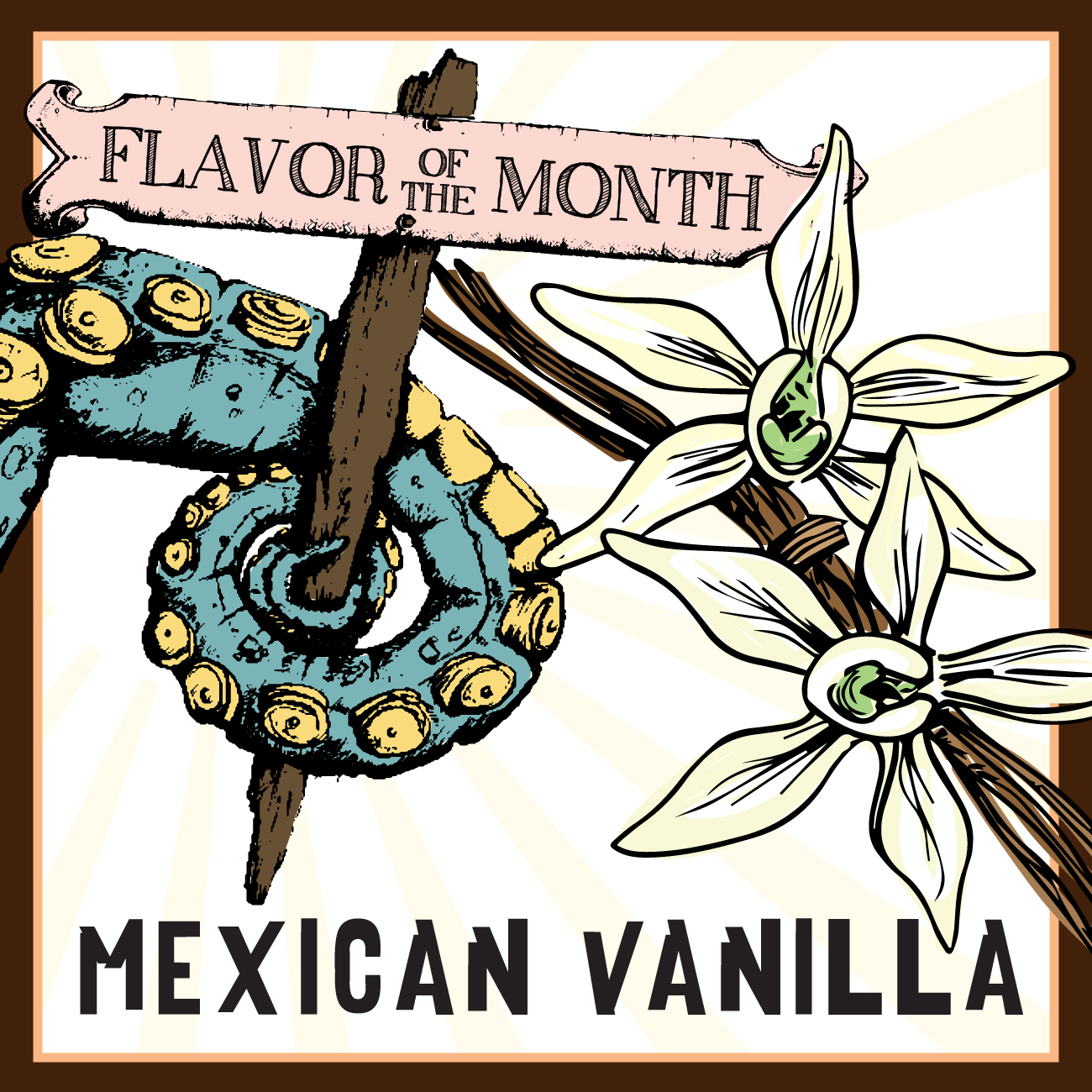 Mexican Vanilla Ice Cream